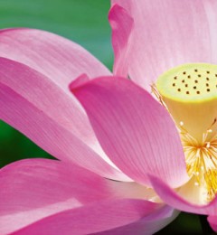 ӵ�п����ľ� �������Լ�����