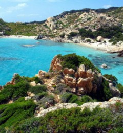 ��ѧ���ܣ����ټ��������������ģ�