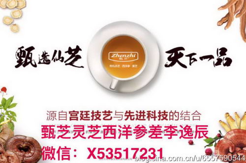 甄芝灵芝西洋参茶是真的吗?都有什么功效