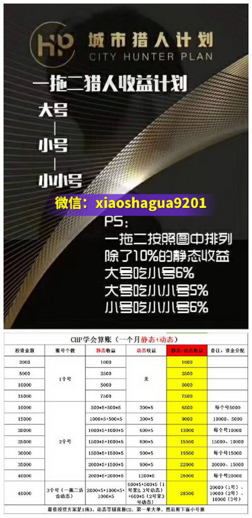 城市猎人CHP具体是个什么项目|城市猎人CHP好不好