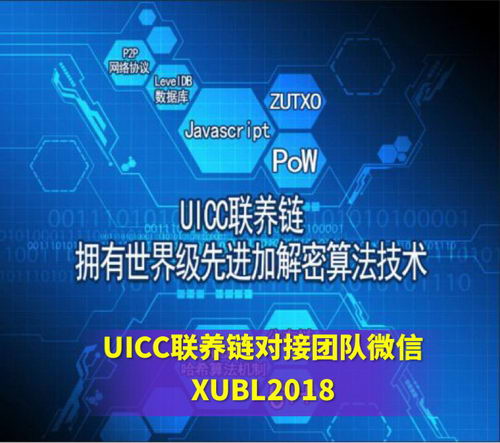 UICC联养链注册具体流程是什么|对接人是谁|怎么联系
