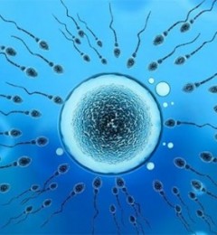 ���ѹ�ֱ��Ӱ�����У���֪����