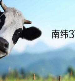 ������ѡ�Ŀ�����̷ۺã�����a2�̷ۻ��ǰ׽�氮�����̷ۣ�