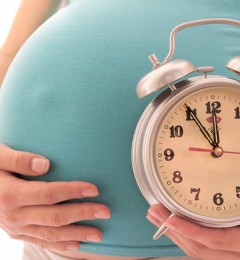 ���������ܻ����Ů�Ե�ϸ��˥��