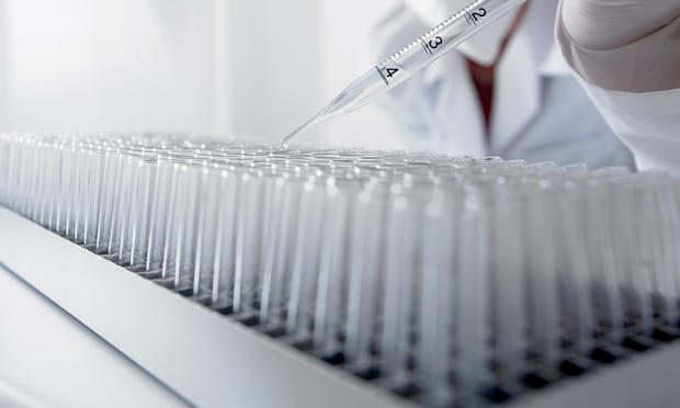 ʻ䶳ֲ̥ӹ ֳɹʸߣ