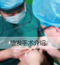 ����Щ��������人����ֲ����רҵ��Ч�����ѷ�����������