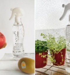 SHUPPA����ˮ������������ �������������³���