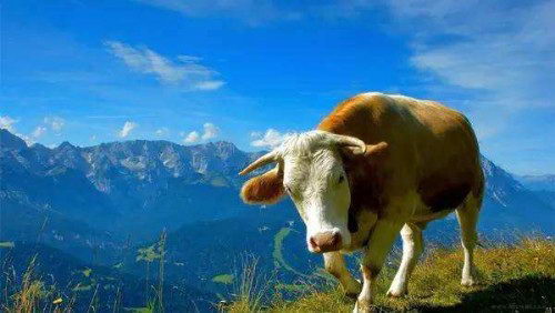 ̷Ʒ̵㣬ޱ׺Ͱ̷ʲô