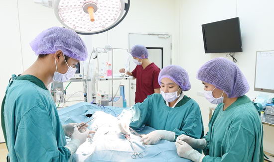 苏州同济医院专家怎么样?专业医生团队 打造优质妇科诊疗