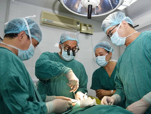 读万卷书,行万里路—廊坊圣洁口腔医院姚立平院长以色列研学之旅