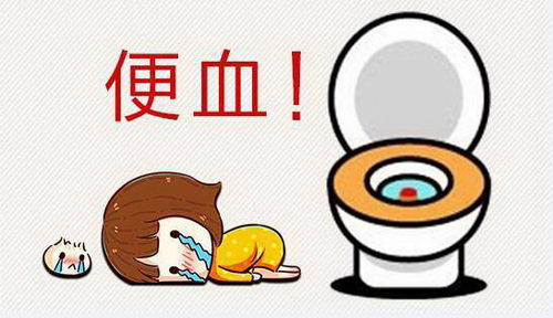 ݷ̩ҽԺôѪƵ,Ϊİ㣿