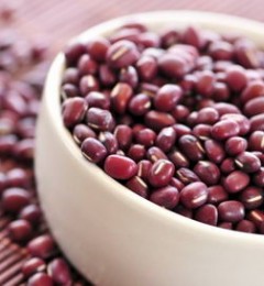  �Ժ춹���Ŷ� פ��������