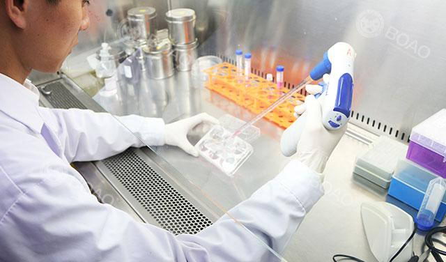 Сηר NKϸ Դڹذδ