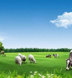 �����������̷�Ʒ�ƴ��̵㣬�������̷��ĸ�Ʒ�ƺã�