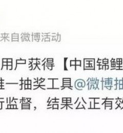 ����13�����Ļ����ʱ���죬��������ϲ�����Ǿ�������������