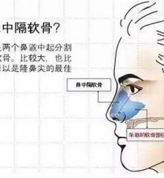 ��ɳ����������ҽ���ŶӸ�������и������ܸ�ɶ�� ������ҽ��