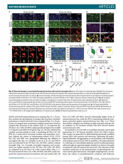 ҽԺƸר쿡£iPSAD3Dģͽ