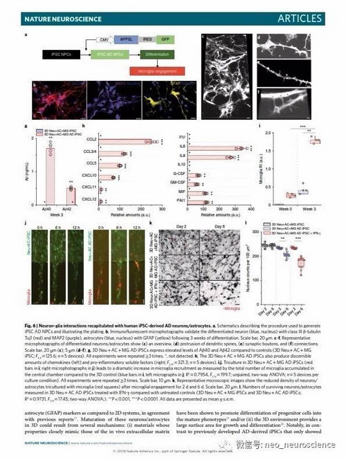 ҽԺƸר쿡£iPSAD3Dģͽ