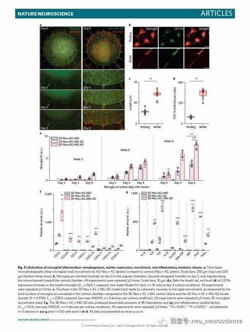 ҽԺƸר쿡£iPSAD3Dģͽ