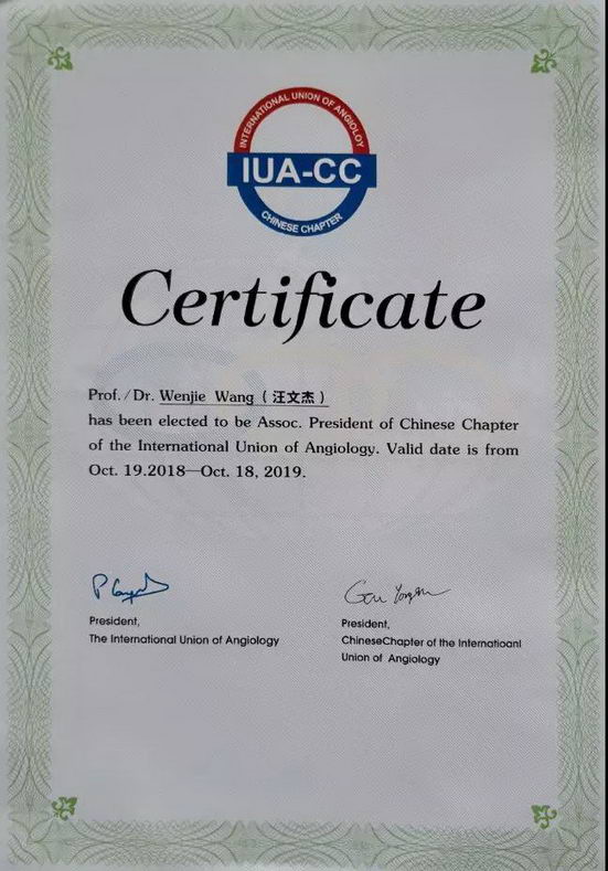 ҽԺĽܶ³ιѪ(IUA)йֲȫίԱḱϯ