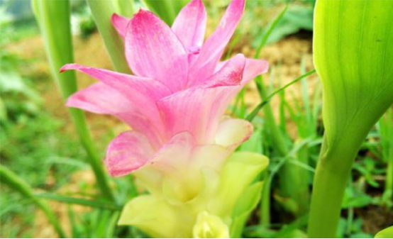 ݭһͨ˲֪֣ȴǴ벻ı