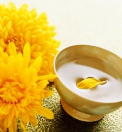 ����������˥�� �����ջ���