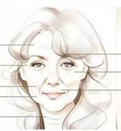 ���ɸ��Ƶ������ܼ���