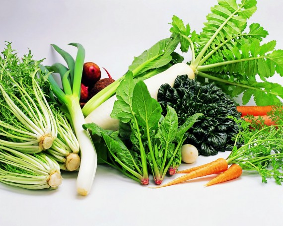吃蔬菜，就要吃最新鲜的！