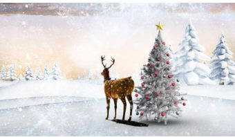 想要有“心”意的圣诞节?cenovis维生素C为暖男助攻