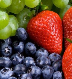 �˵�������Ҫ�����Ի�������ݮ�����߲������ͼ����˻�����