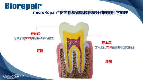 ݲ޼᲻,,ѡ(BIOREPAIR)