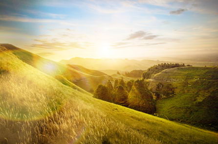 康维他(Comvita)——来自新西兰的享誉全球和值得信赖的天然健康品牌。康维他UMF®麦卢卡蜂蜜便是其带给全球用户的最特别的大自然礼物。