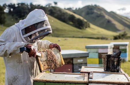 康维他(Comvita)——来自新西兰的享誉全球和值得信赖的天然健康品牌。康维他UMF®麦卢卡蜂蜜便是其带给全球用户的最特别的大自然礼物。