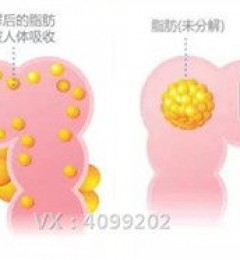 ���̵㣺����˾�������ô�ô���Ǹ����Ӻá�����Ǯһ�У�ӡ�Ȱ���˾����������Чô