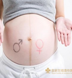 RFG泰国试管婴儿：嵌合型胚胎可否用于试管婴儿移植 