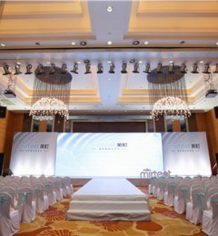 Mirteet���ҽ��Ƥ���޸���Ĥ�����з�����