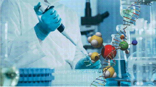 ʺ϶ŮʹõĻƷ,ҩױƷĸ