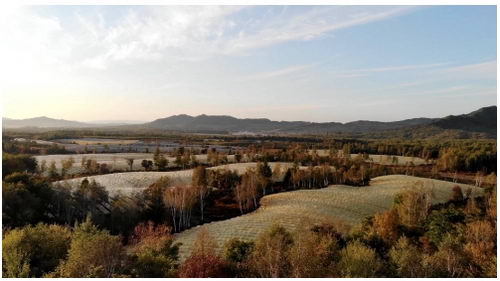 ӡֳԷƼΡҩֲƾ׼ƶ