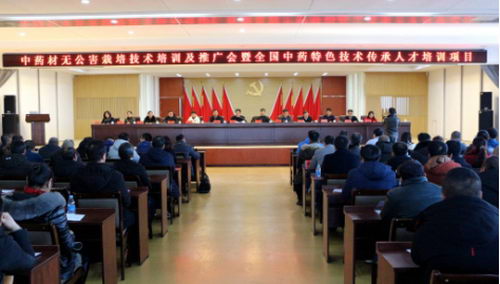 ӡֳԷƼΡҩֲƾ׼ƶ