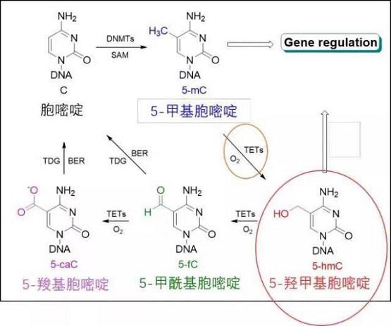 ίǿ֢ɸΣ֥δͻɸƿȫ񽡿