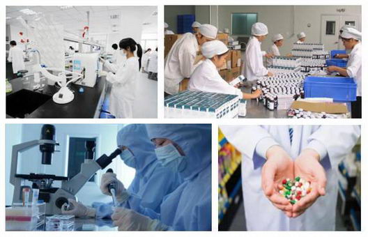 制药装备市场潜力无限 药品包装前景更加广阔