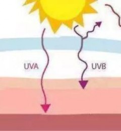 ������÷�ɹ����ȻҪ360�������ǣ�