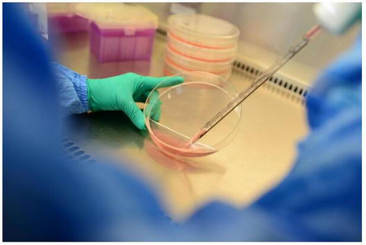 ͻҽҩ򿨲ƿ ҩΪǻҺṩȫƷ