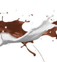 ţ�����ɿ��������������ʯ��ר������˵����