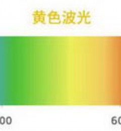 ������÷�ɹ���ܾ���ɹ�����У�