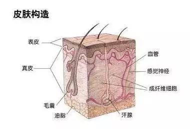 北京伊美尔健翔医院:疤痕该如何区分