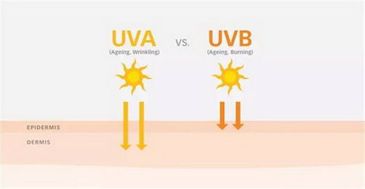 遮阳帽品牌排行榜揭秘,最好用的防晒单品你要知道