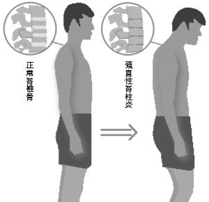 ʤҽԺʪֽЩԭǿֱԼ׼