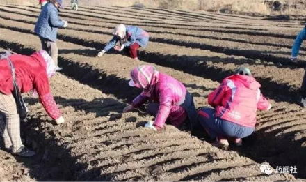 中医药多空较量140年 为何康美药业值得力挺?