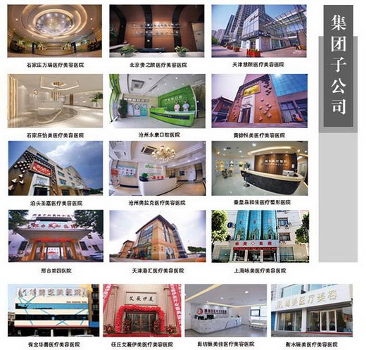 河北人人美集团是做什么的 美业投资为主要业务